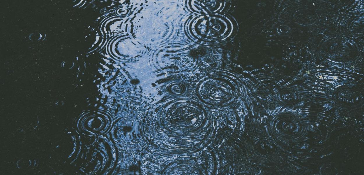 (Foto: Alex Dukhanov (Unsplash))