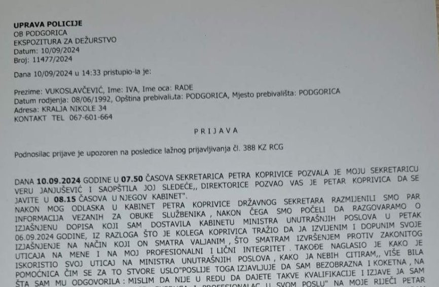 (Foto: Krivična prijava Iva Vukoslavčević)
