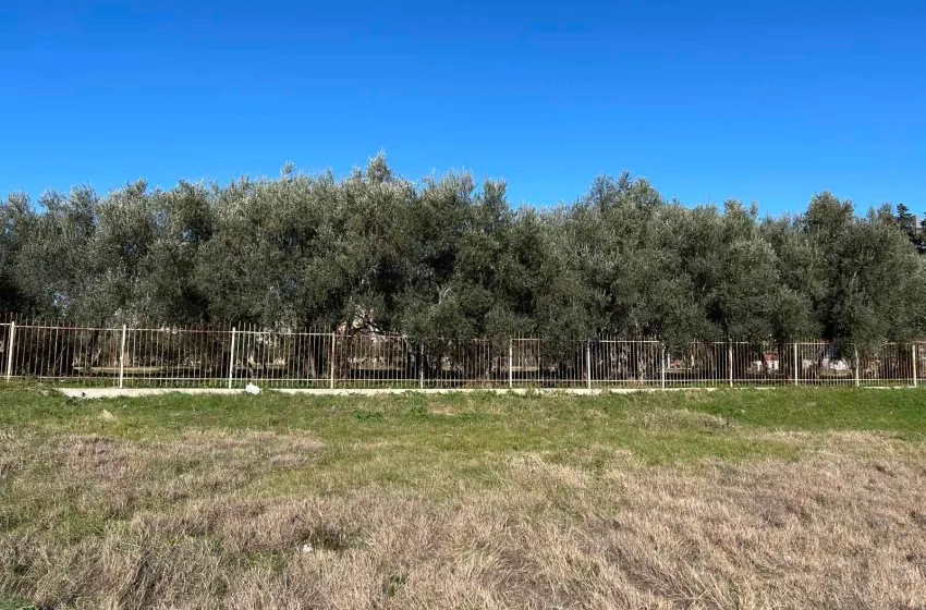  (Foto: Primorski portal)