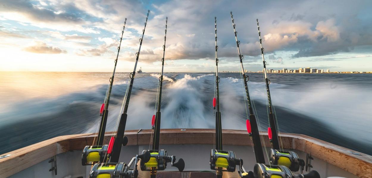 (Foto: stephen momot (Unsplash))