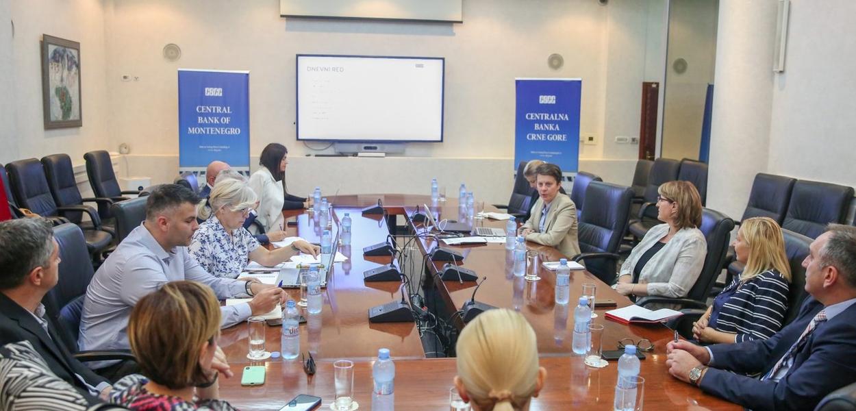 Sa prve sjednice Radne grupe za izradu Mape puta finansijskog sektora ka održivim finansijama (Foto: Centralna banka)
