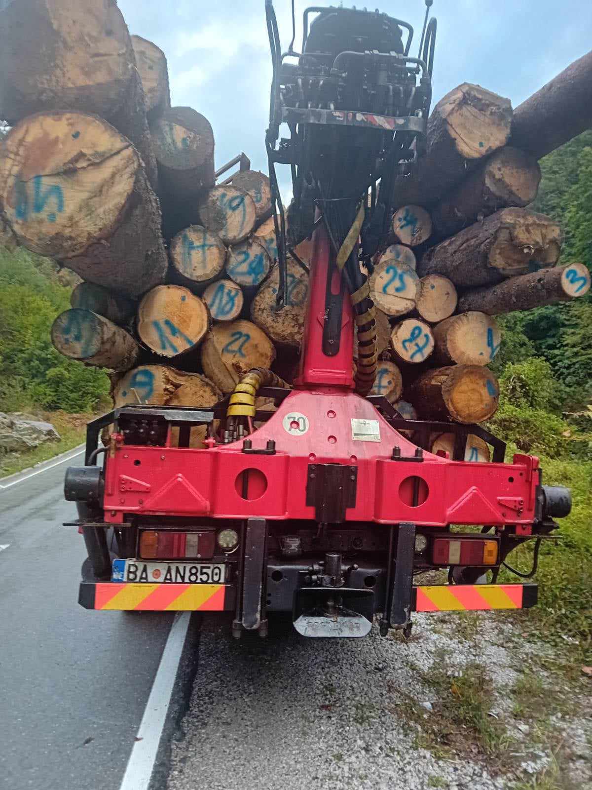 Zaplijenjena drva (Foto: Uprava za gazdovanje šumama i lovištima)