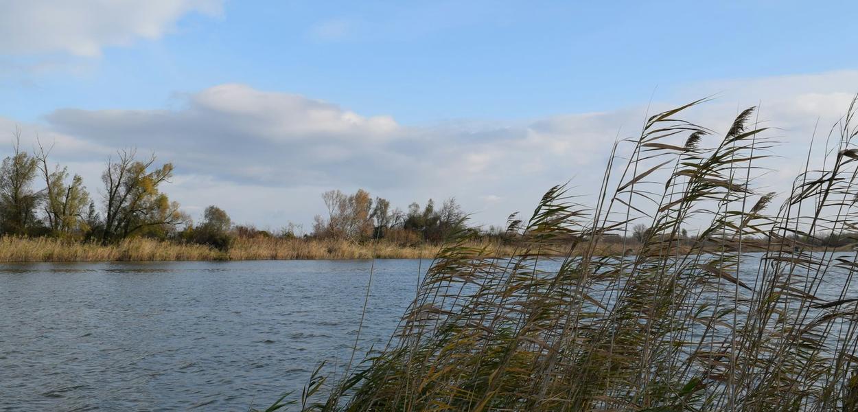 (Foto: Kristina Kutleša (Unsplash))