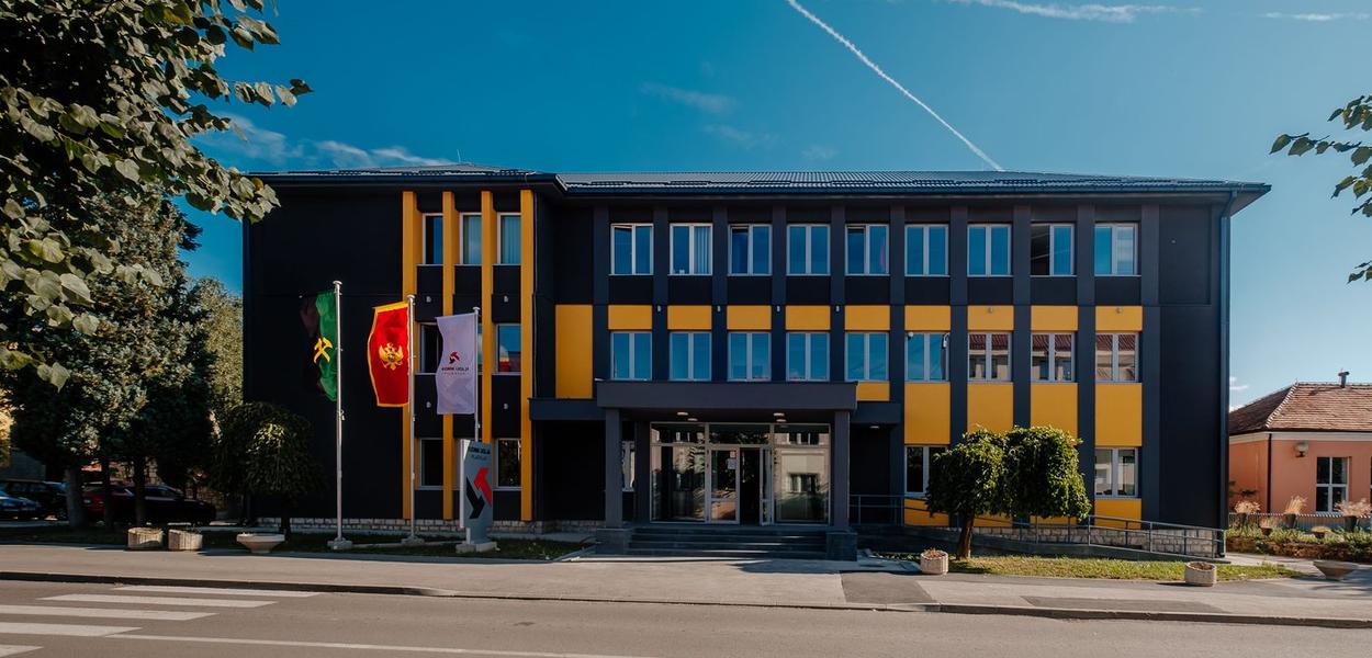 (Foto: Aleksandar Jaredić)