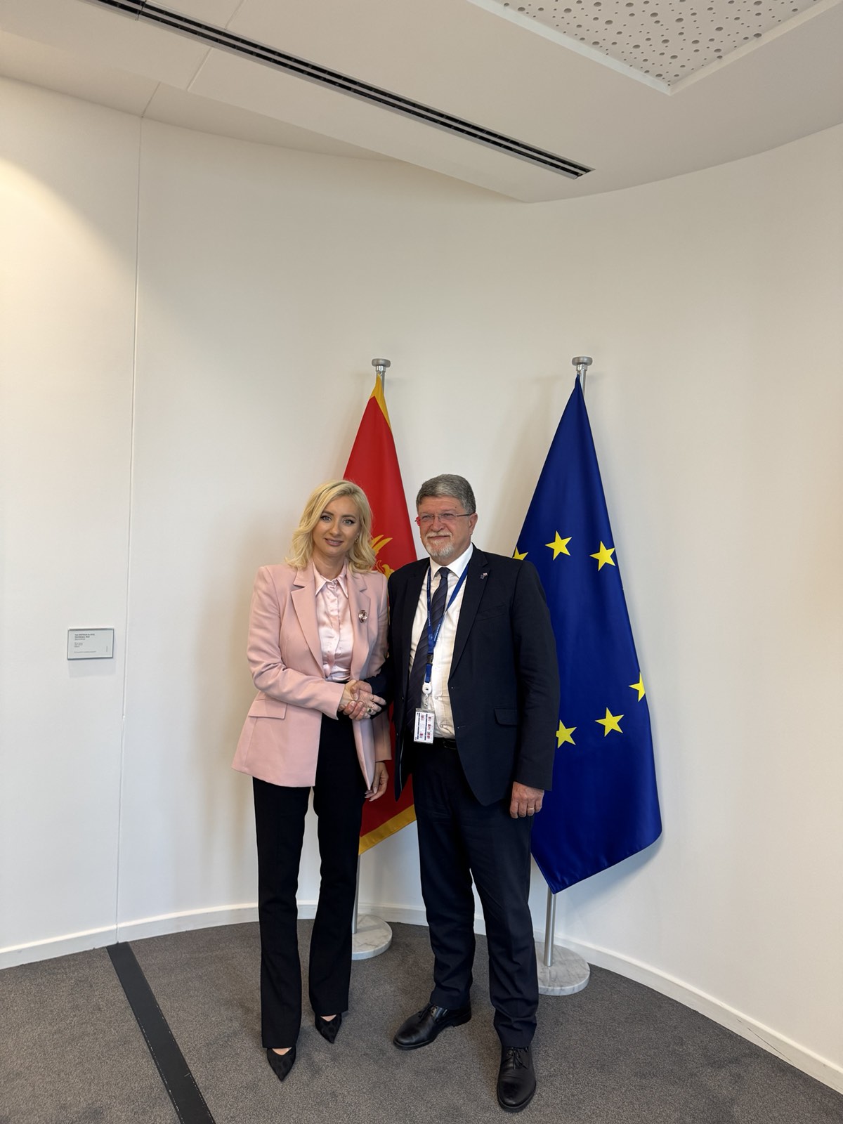  (Foto: Ministarstvo evropskih poslova)