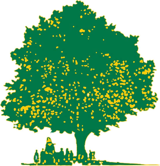 (Foto: Crnogorski helšinski odbor)