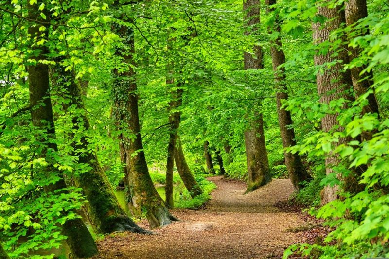 Ilustracija (Foto: Pixabay)