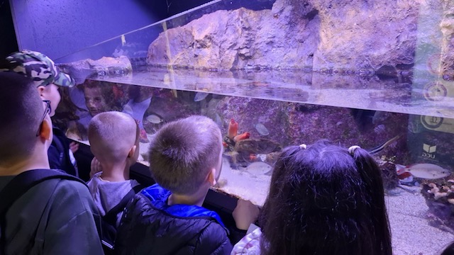 Osnovci u Institutu za biologiju mora (Foto: Radio Kotor)