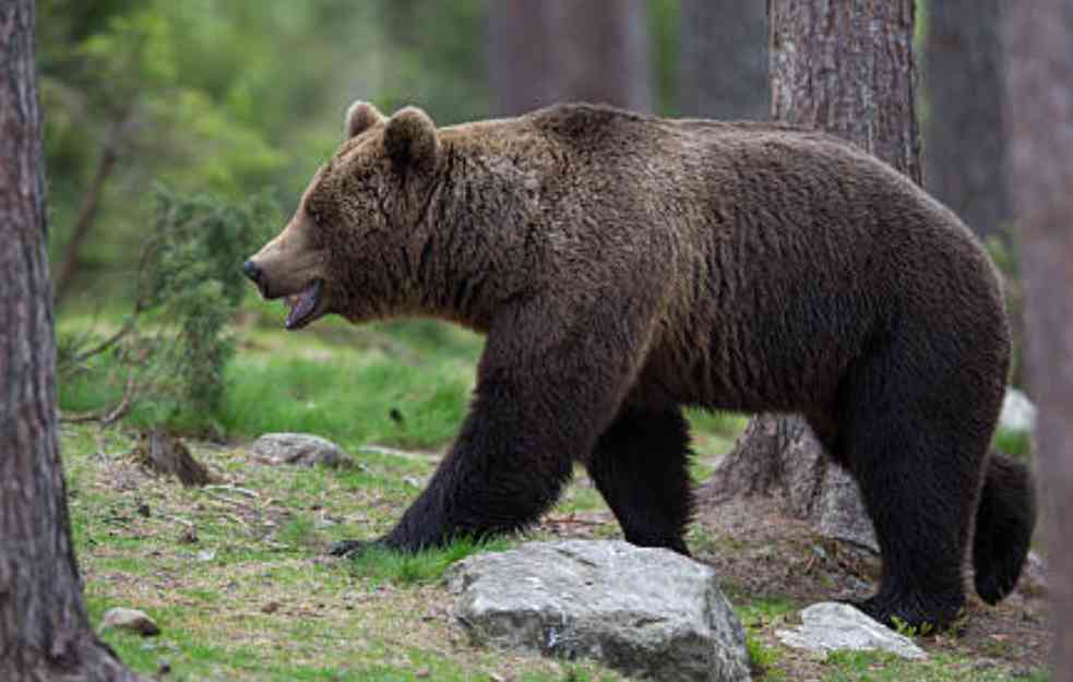 Ilustracija (Foto: Unsplash)