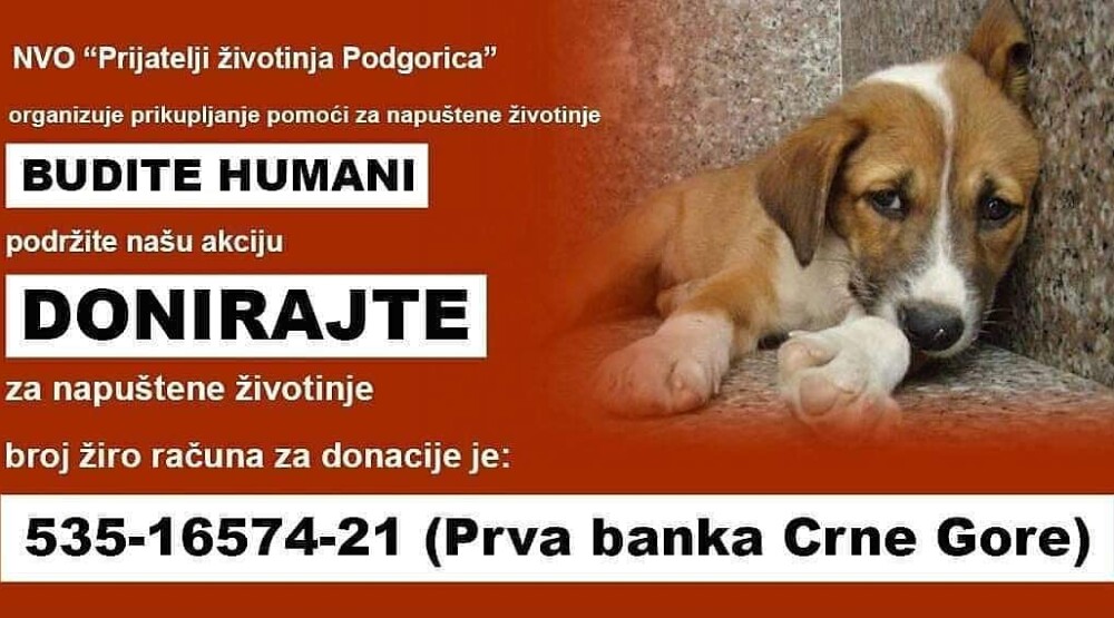  (Foto: Prijatelji životinja)