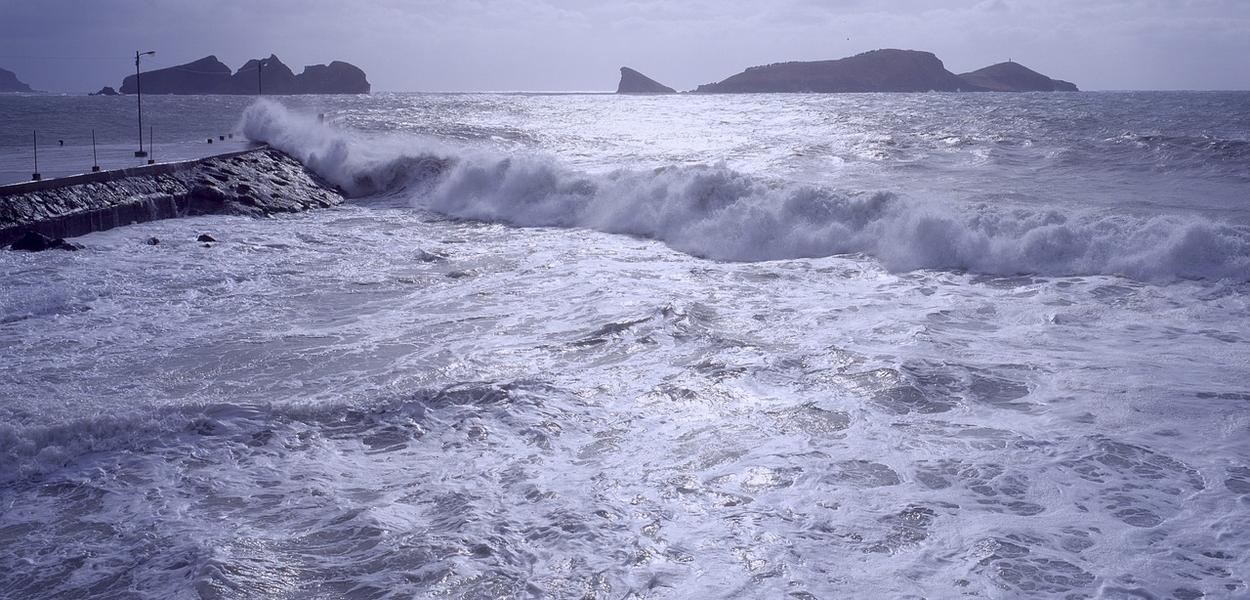 (Foto: 경복 김/Pixabay)