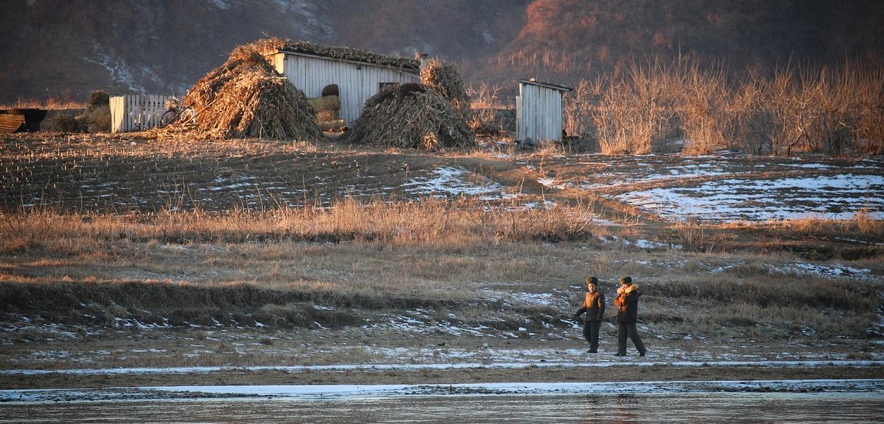 (Foto: WZ Still WZ/Pixabay)