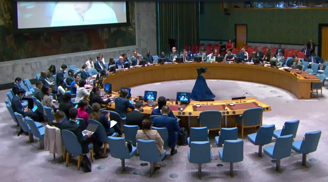 (Foto: Savjet bezbjednosti UN)