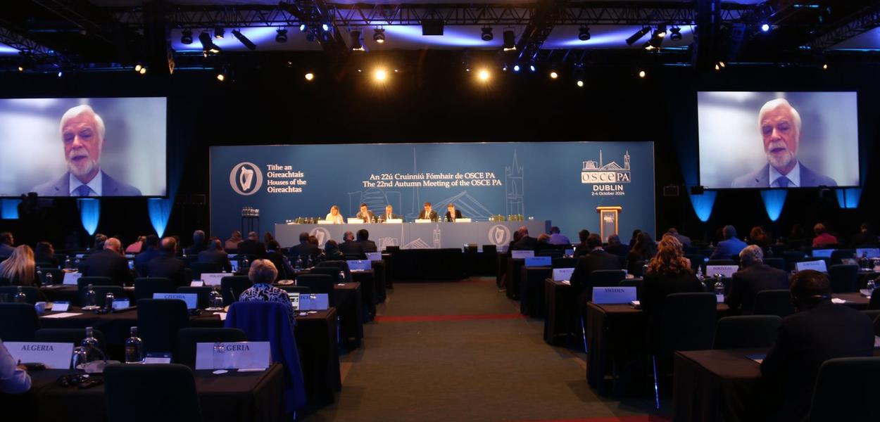 (Foto: Skupština Crne Gore)