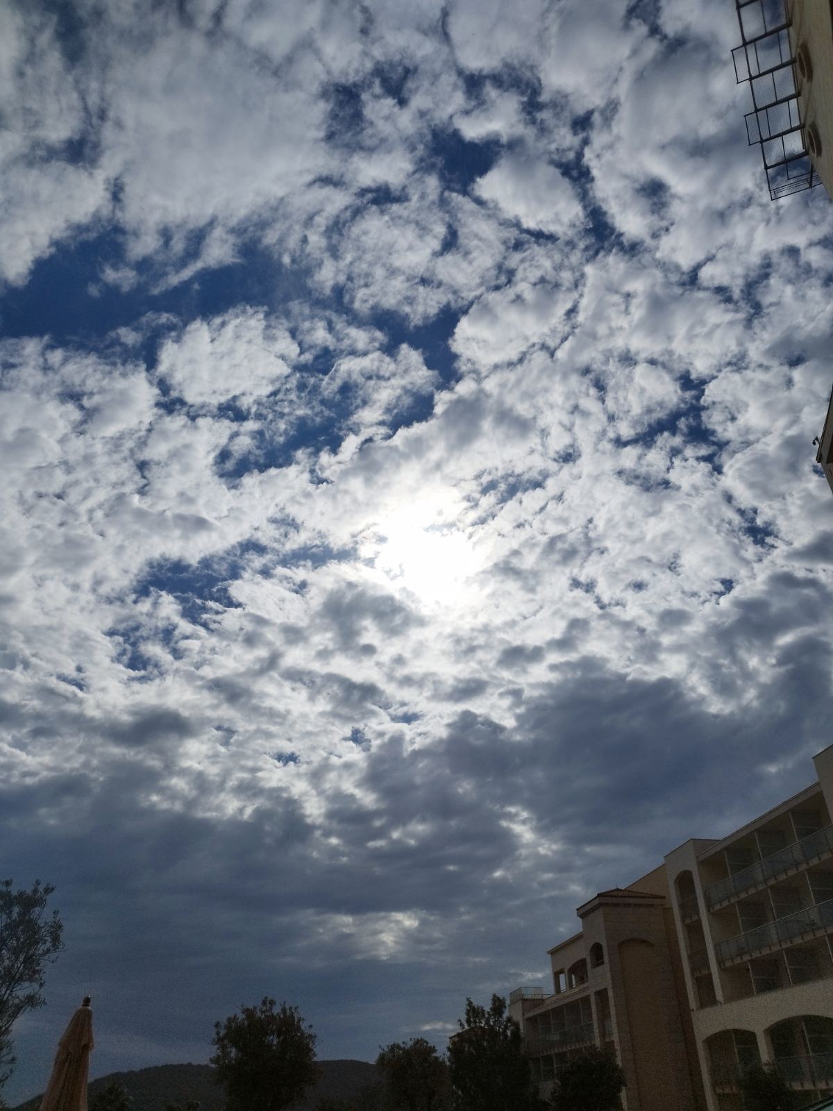 (Foto: Portal ETV/D.M.)