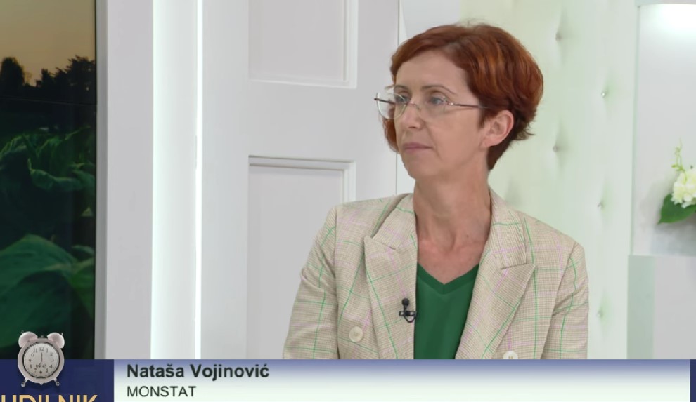 Nataša Vojinović (Foto: TV E - stop kadar)