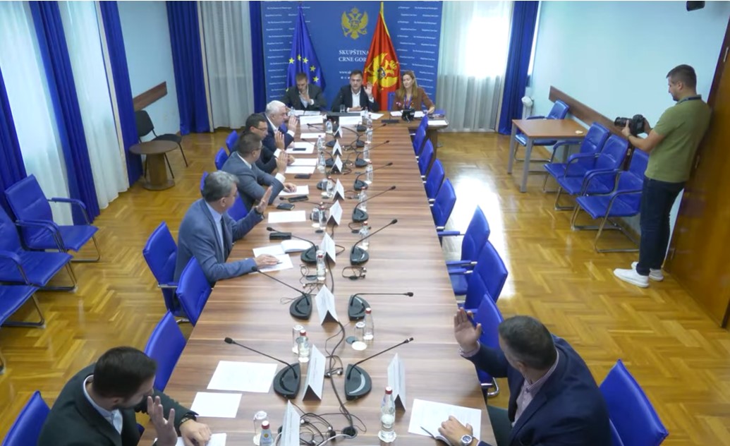 Sa sjednice Odbora za praćenje popisa stanovništva (Foto: Skupština Crne Gore - stop kadar)