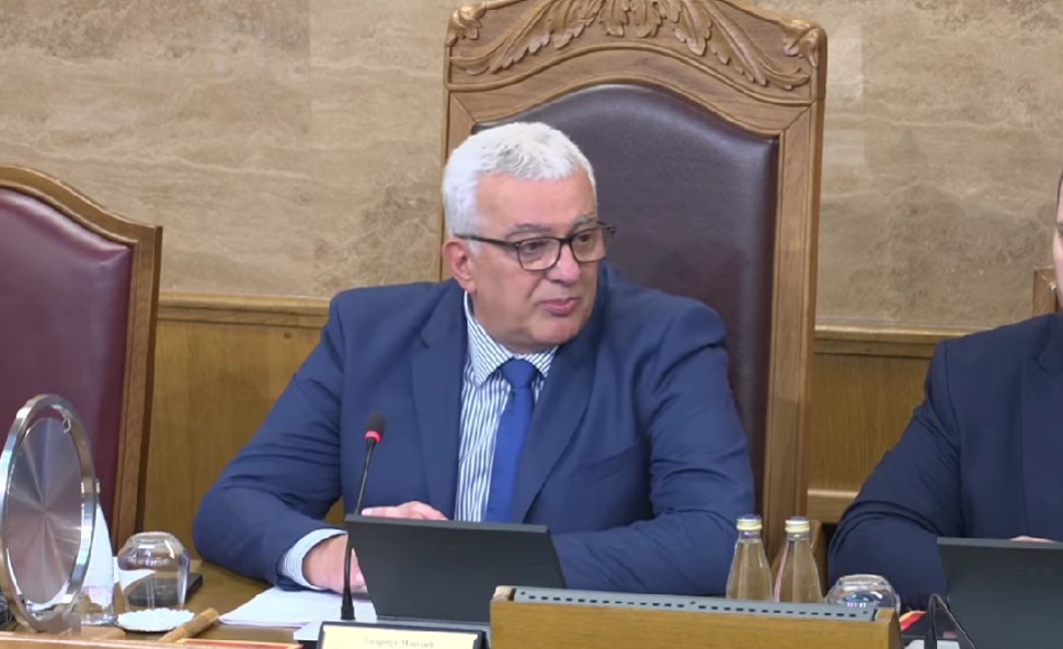 Andrija Mandić (Foto: Skupština - stop kadar)