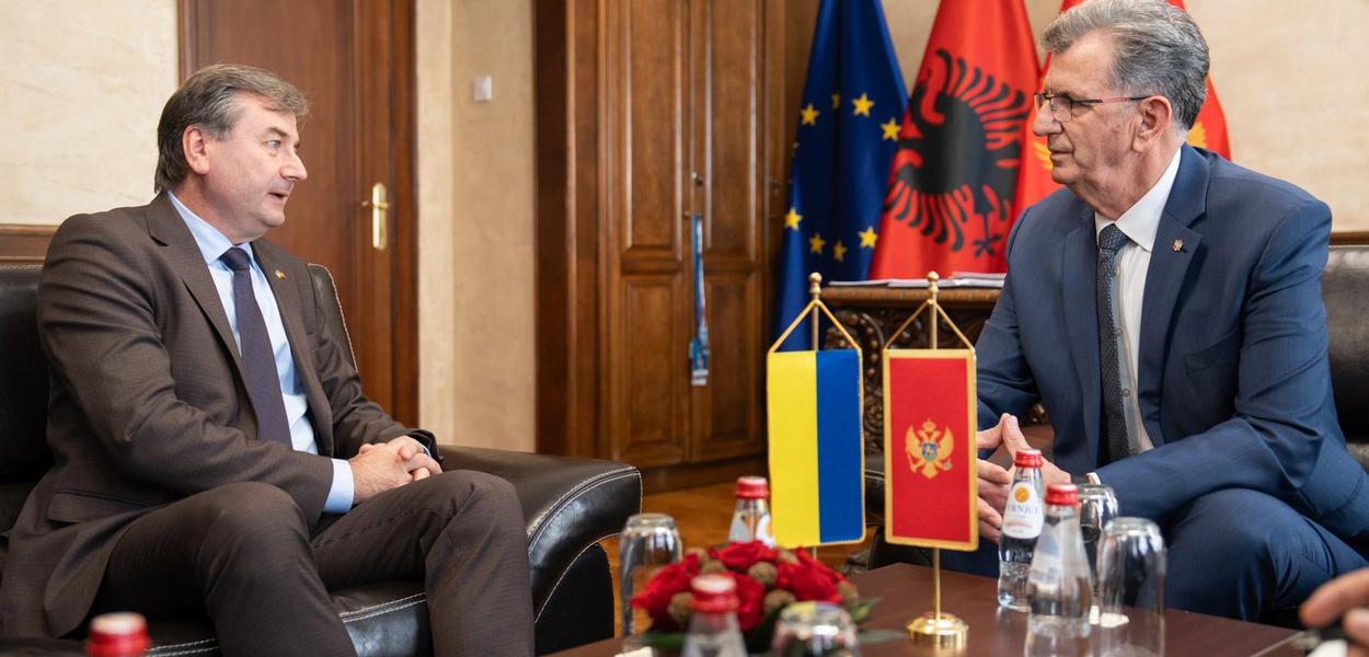 (Foto: Skupština Crne Gore)