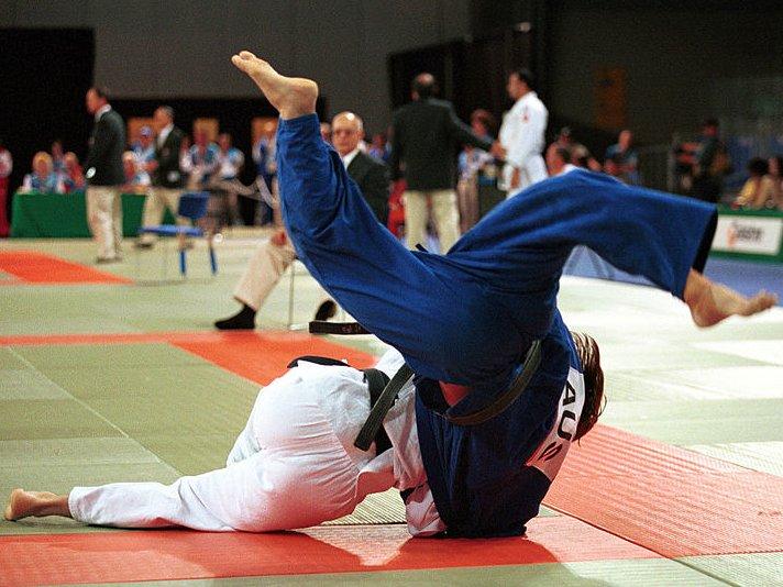 Ilustracija (Foto: Wikimedia/Sport the library)