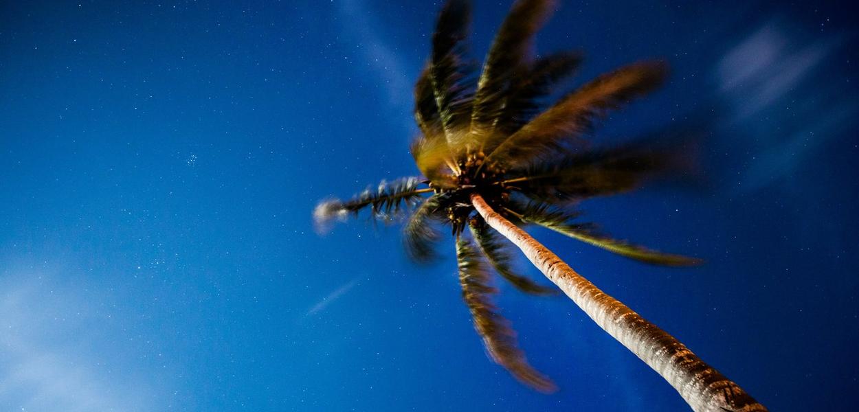 (Foto: Meduana/Unsplash)