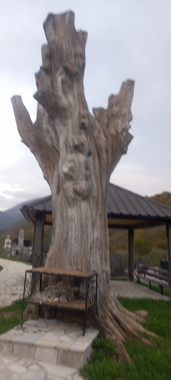 DRŽAVNI SIMBOLI SMETAJU: Crnogorske zastave uklonjene i sa drveta i sa ograde