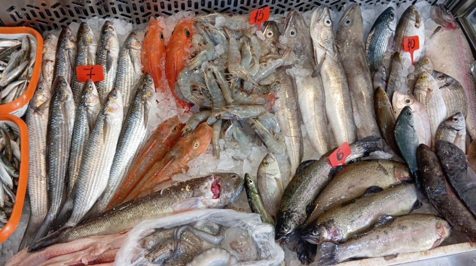 (Foto: Novski portal)