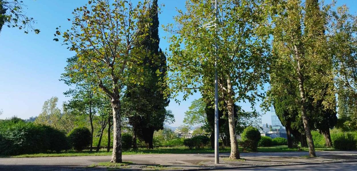 (Foto: Portal ETV/Duško Mihailović)