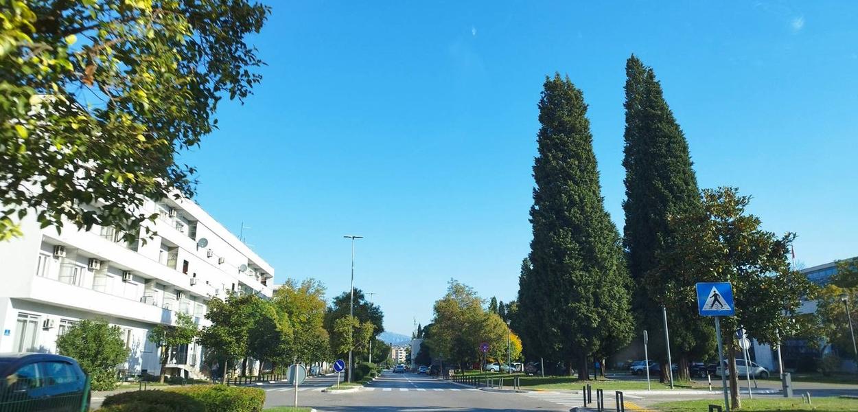 (Foto: Portal ETV/Duško Mihailović)