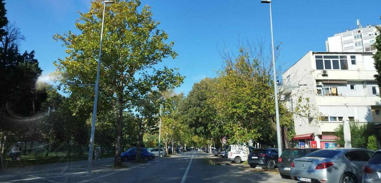 (Foto: Portal ETV/Duško Mihailović)