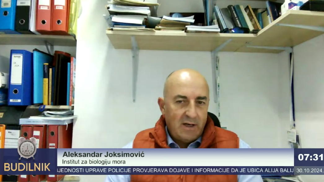 Aleksandar Joksimović (Foto: TV E/Youtube)