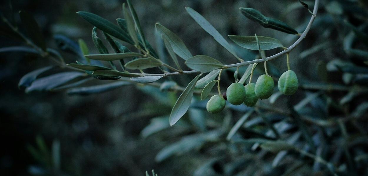 (Foto: Kris Sevinc/Unsplash)