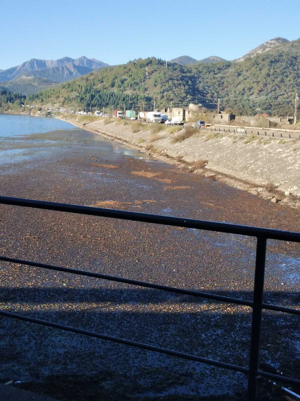 (Foto: Patrola CG/Viber)