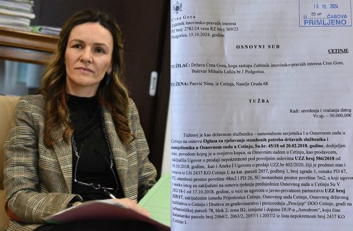 (Foto: Zaštitnica imovinsko-pravnih interesa Ćirović i naslovnica tužbe Kancelarije)