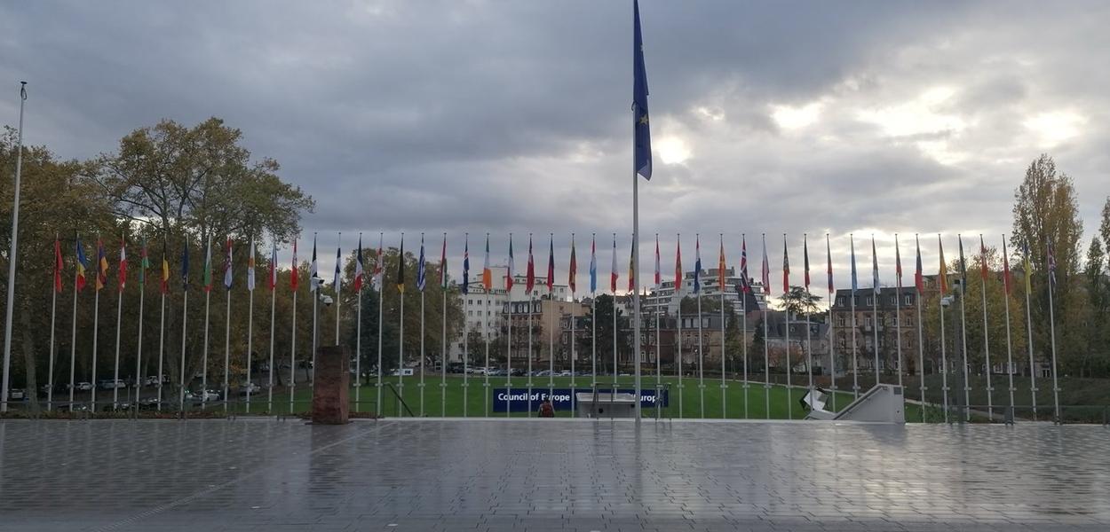 (Foto: Jasmina Beharović/Portal ETV)