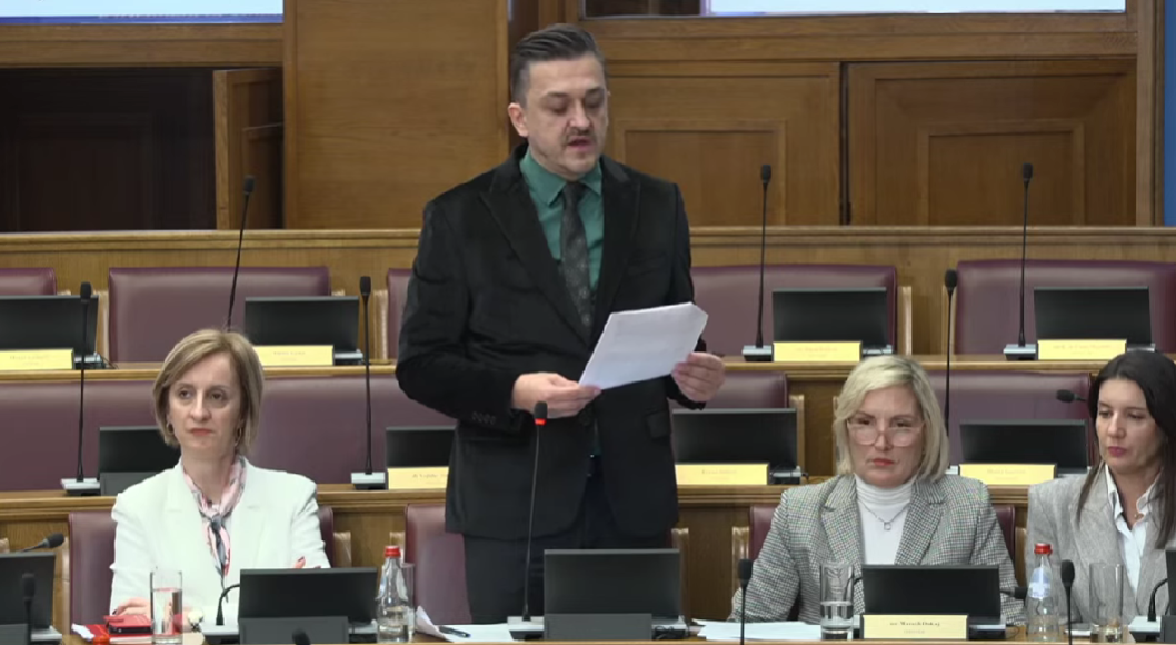 Novica Vuković (Foto: Skupština - stop kadar)