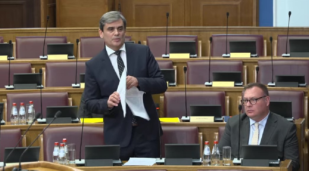 Ervin Ibrahimović (Foto: Skupština Crne Gore/Jutjub)