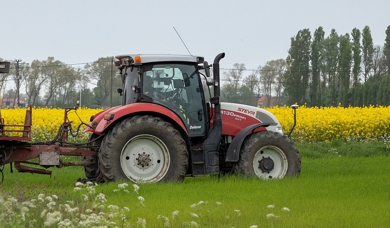 Ilustracija (Foto: Pixabay)