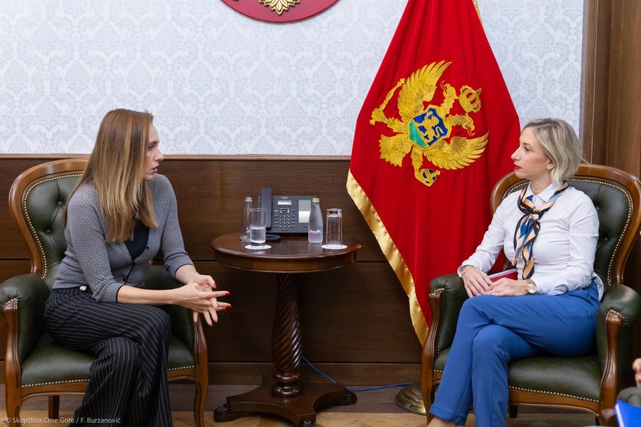 Mihailović i Kaluđerović (Foto: Skupština Crne Gore)