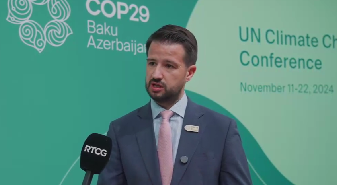 Jakov Milatović (Foto: Kabinet predsjednika Crne Gore - stop kadar)