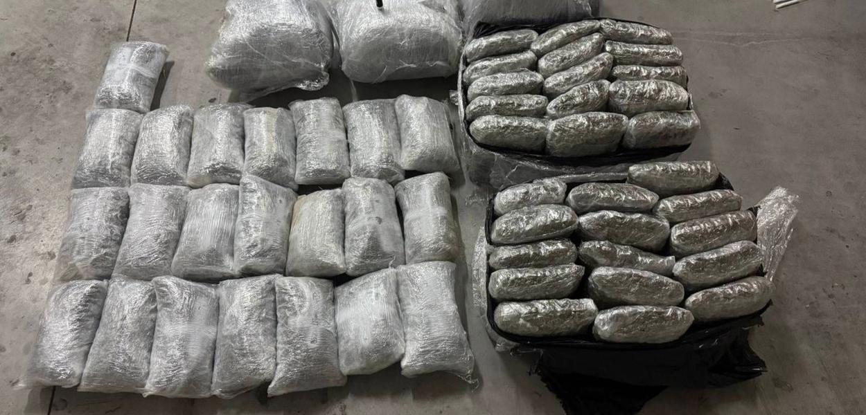 Zaplijenjena droga (Foto: Uprava policije)