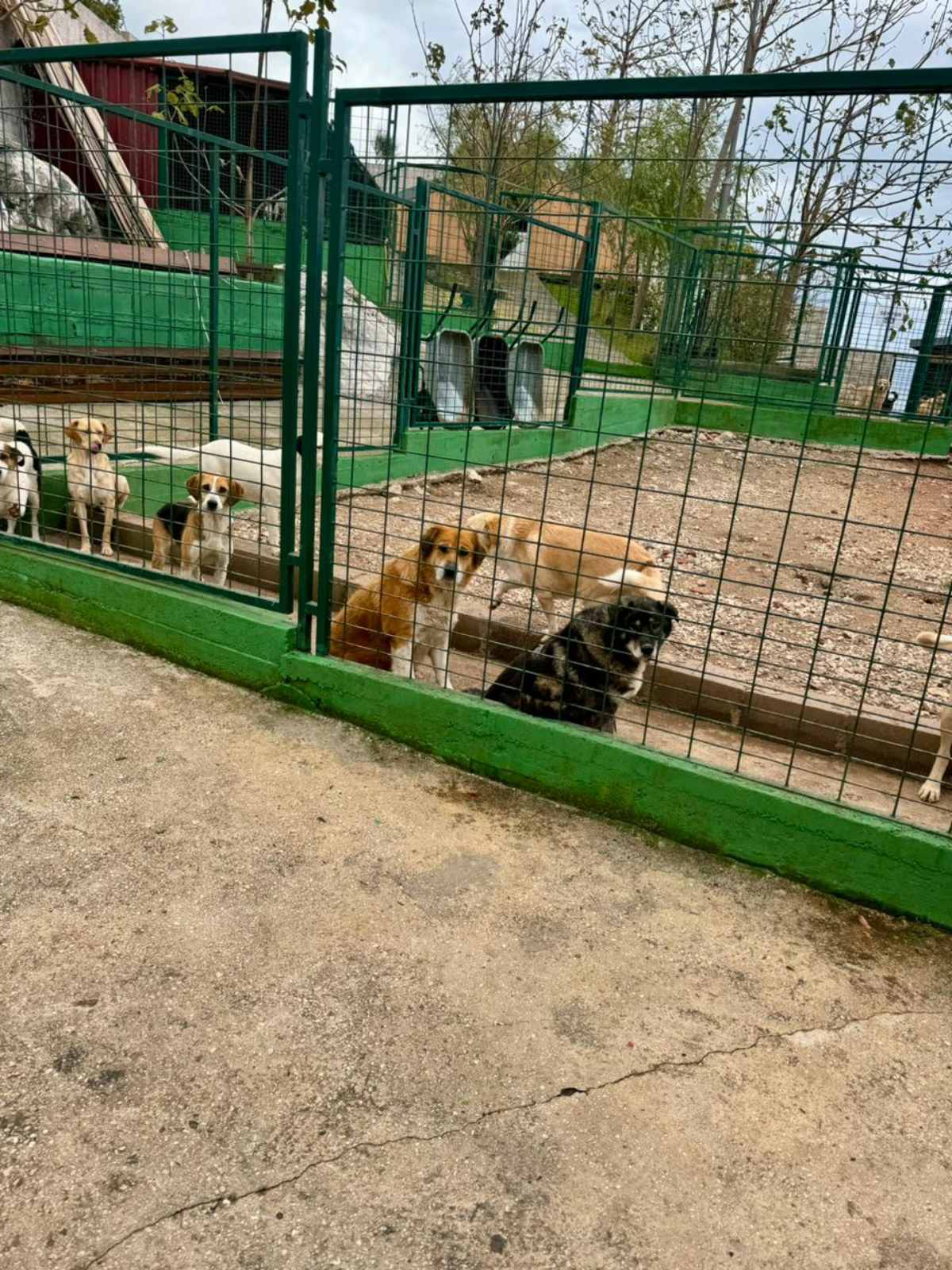 (Foto: Vlada Crne Gore)