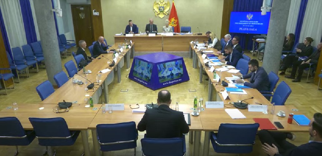  (Foto: Skupština Crne Gore/Jutjub)