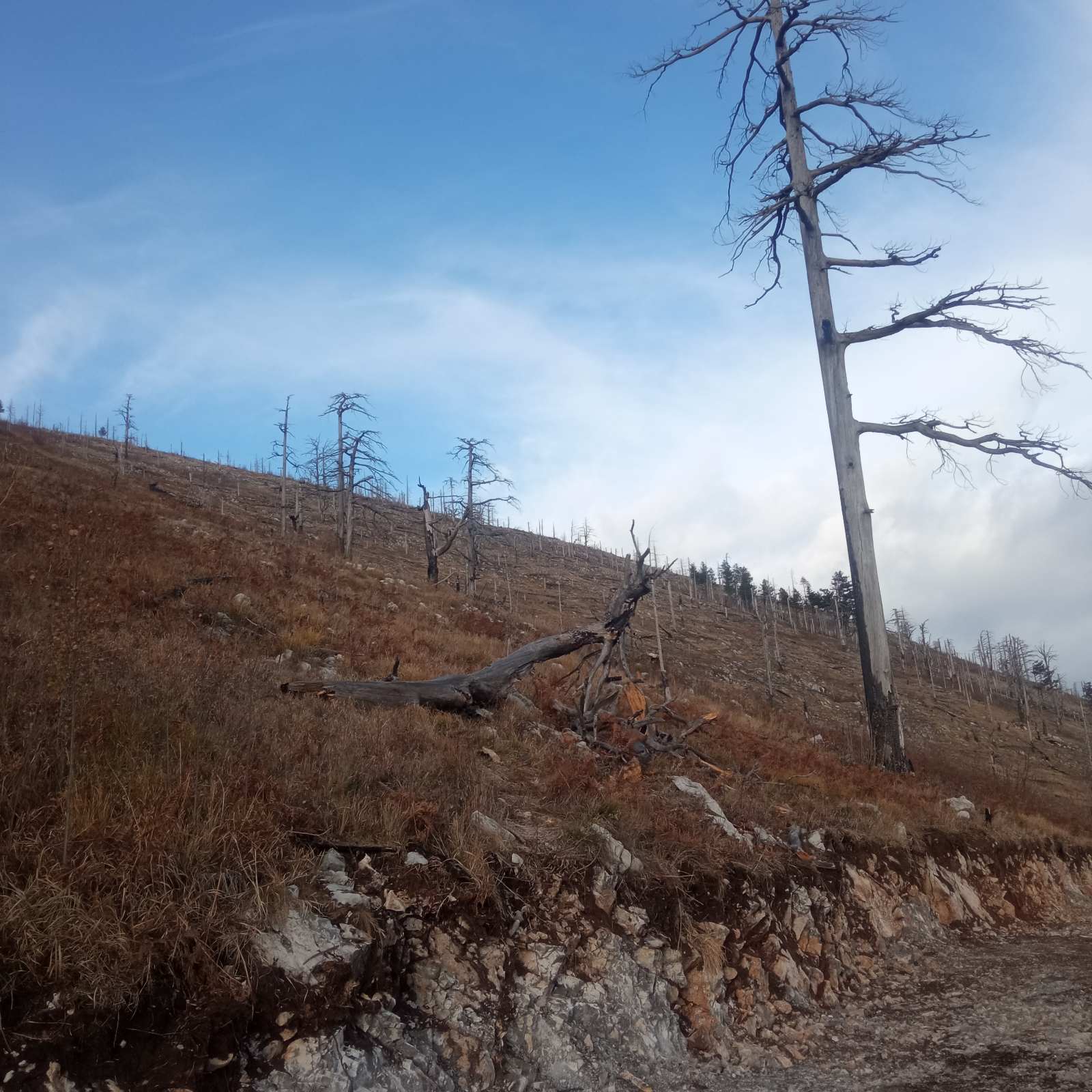 Iz opštinskog preduzeća koje gradi put poručuju da će ubuduće biti lakše izboriti se i sa požarima