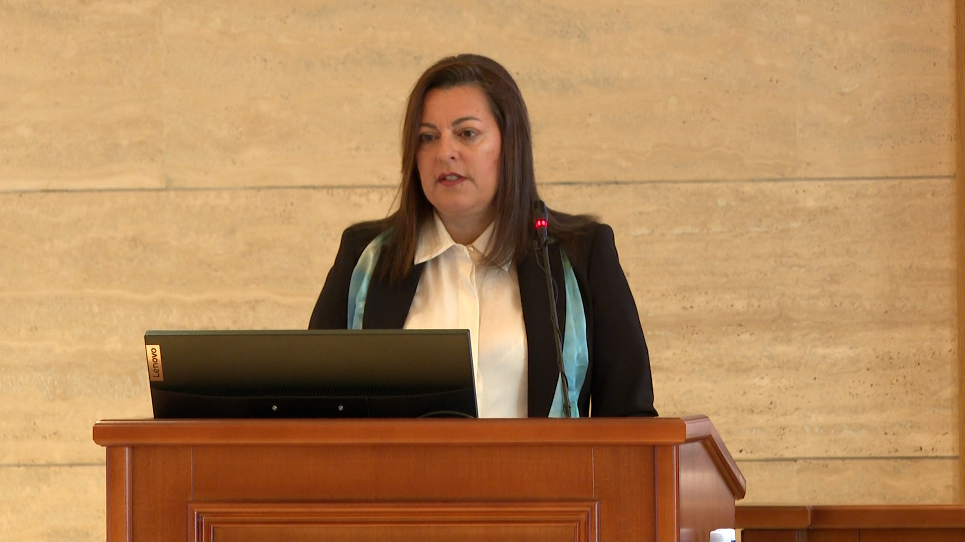 komemoracija voju staniću