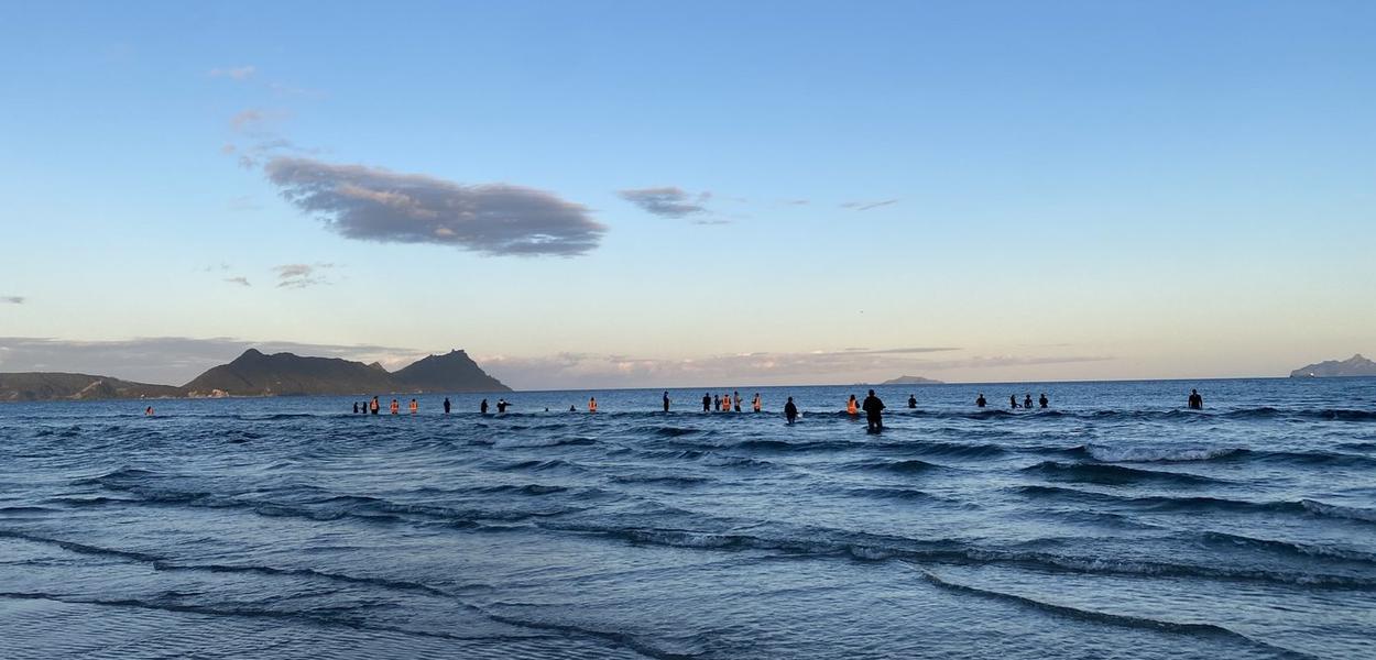 (Foto: Department of Conservation/Facebook)