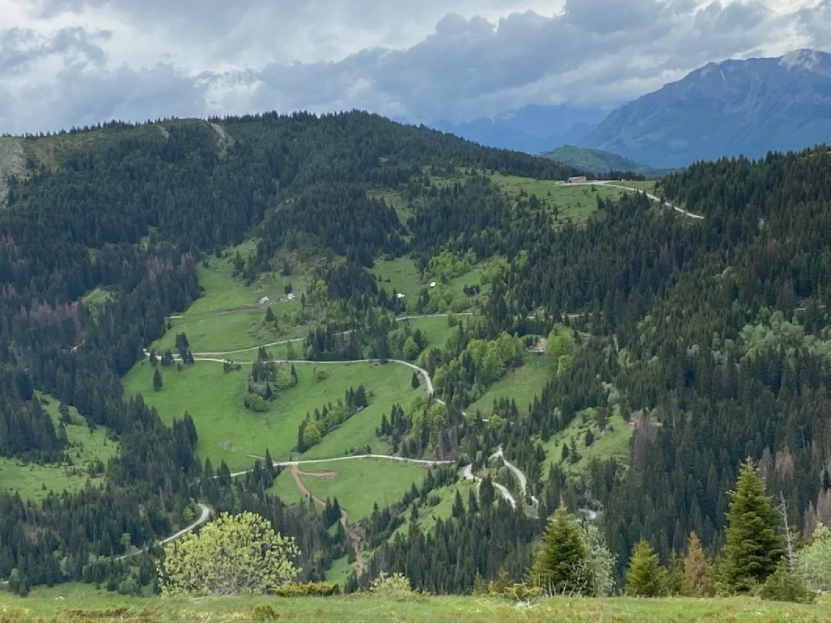 Pogled na put preko Čakora (Foto: RTCG)