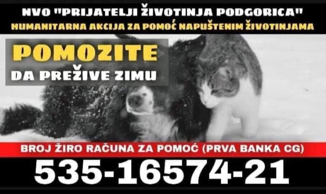 (Foto: NVO "Prijatelji životinja Podgorica")