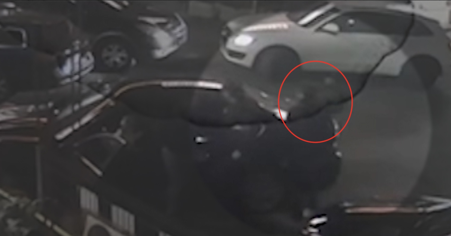 Screenshot sa nadzorne kamere 