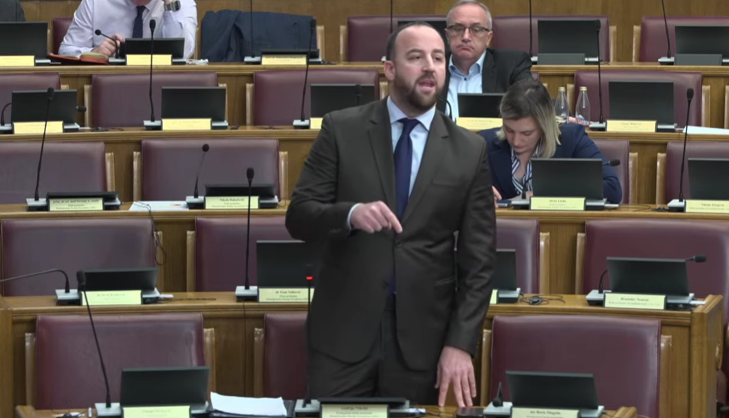 Andrija Nikolić (Foto: Skupština Crne Gore - stop kadar)
